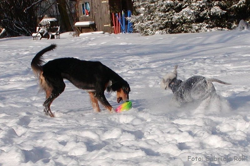 Quincy 2009-01-05 (7).JPG